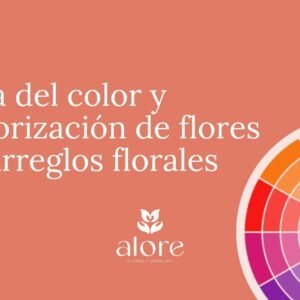 Curso Colorimetria